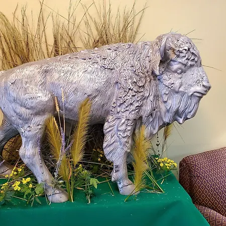 Bison Plains Lodge-3