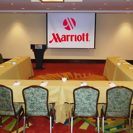St. Petersburg Marriott Clearwater-3