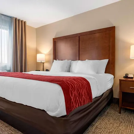 Comfort Inn & Suites South Hill I-85-3