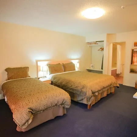 Abbots Hamilton - Hotel And Conference Centre-3