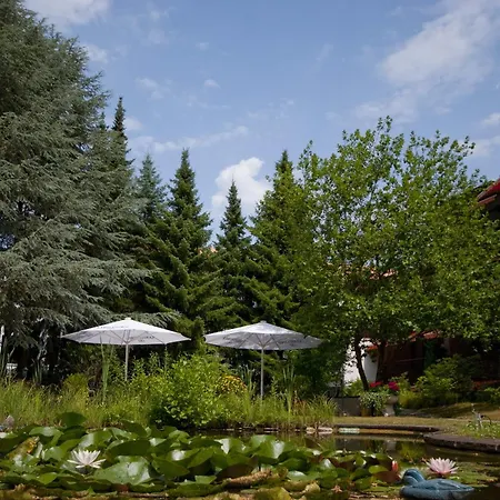 VitalHotel Ascona-3