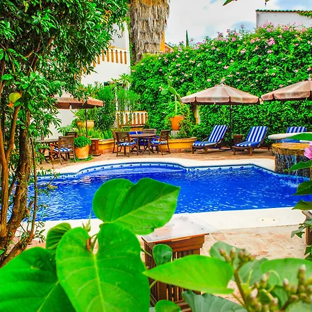 Hotel Hacienda Los Laureles-3