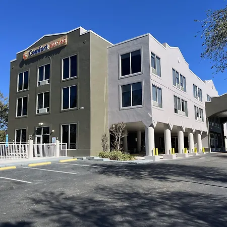 Comfort Suites Clearwater - Dunedin-2