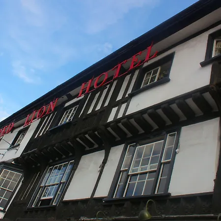 Brook Red Lion Hotel-3