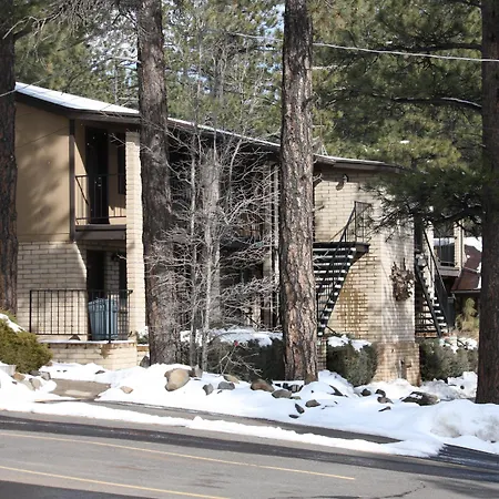Motel In The Pines-3