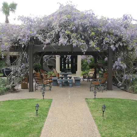Vineyard Court Designer Suites Hotel-2