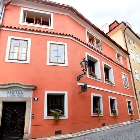 Hotel At The Green Grape-2