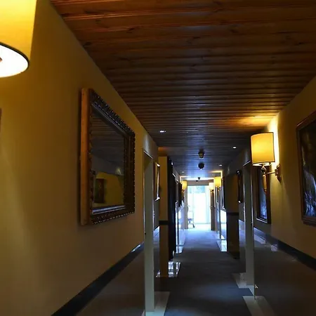 T3 Alpenhotel Flims-3