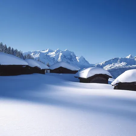 Victoria - Alpine Boutique Hotel & Fine Dining-2