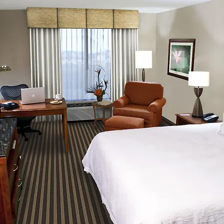 Hilton Garden Inn Ft. Lauderdale Airport-Cruise Port-3