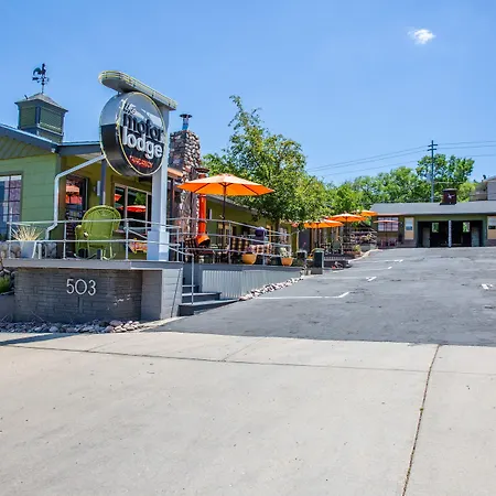 The Motor Lodge-2