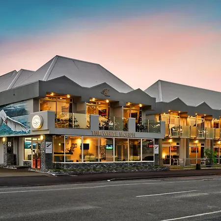 The White Morph Motels-2