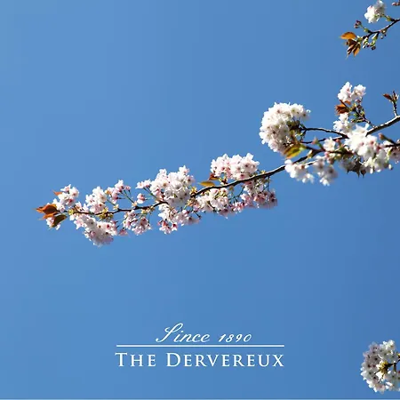 The Devereux Boutique Hotel-2