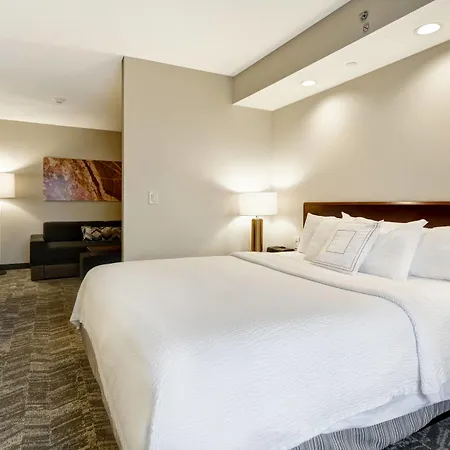 Springhill Suites By Marriott Lexington Near The University Of Kentucky-2