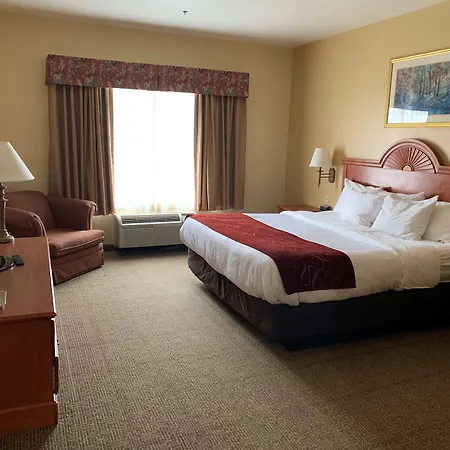Surestay Plus Hotel By Best Western Mesquite-2