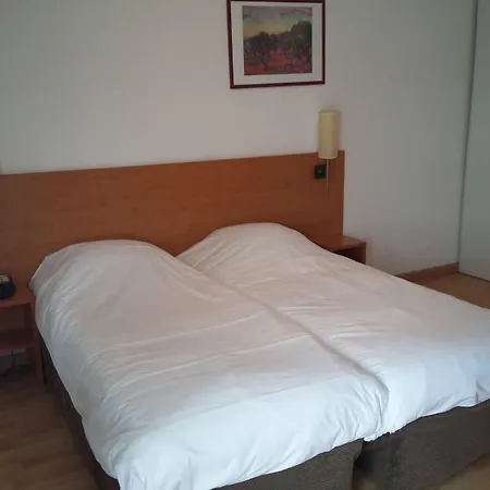 Sejours & Affaires Tours Leonard De Vinci-2