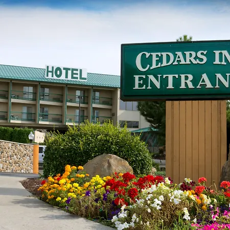 Cedars Inn-3