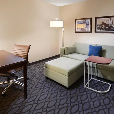 Springhill Suites Fort Worth University-2