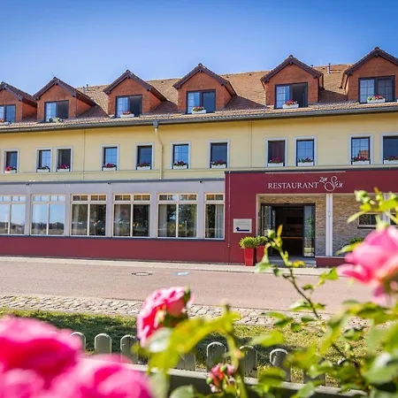 Ringhotel Hotel Zum Stein-3