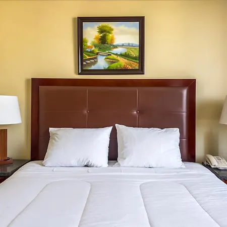 Hotel Stanford-3