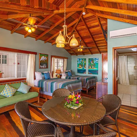 Blue Tang Inn - Beachfront Suites And Pool-2
