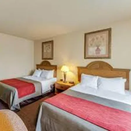 Comfort Inn & Suites Fredericksburg-3