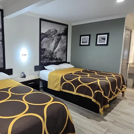 Super 8 By Wyndham Mcallen-La Plaza Mall-Downtown-2