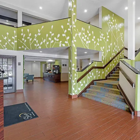 Sleep Inn Near Busch Gardens - Usf-3