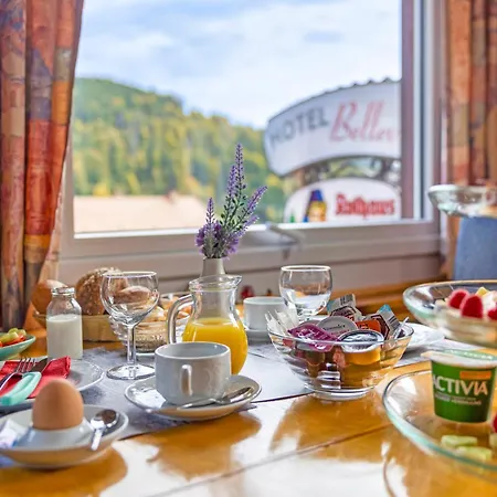 Hotel Bellevue-2