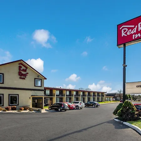 Red Roof Inn Madison Heights, Va-3