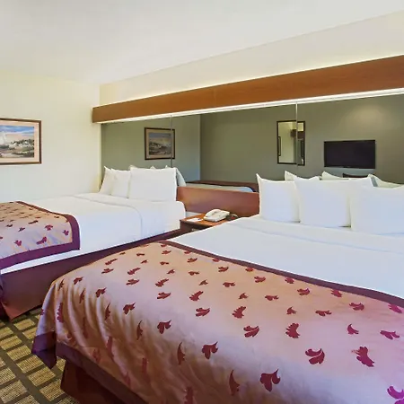 Microtel Inn & Suites By Wyndham Holland-3