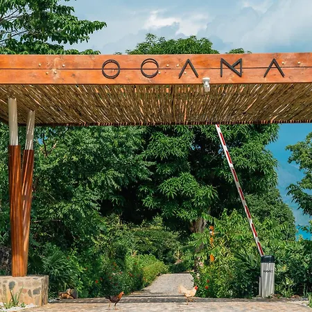 Ocama-2