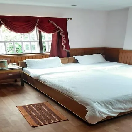 Hotel The Golden Ice-2
