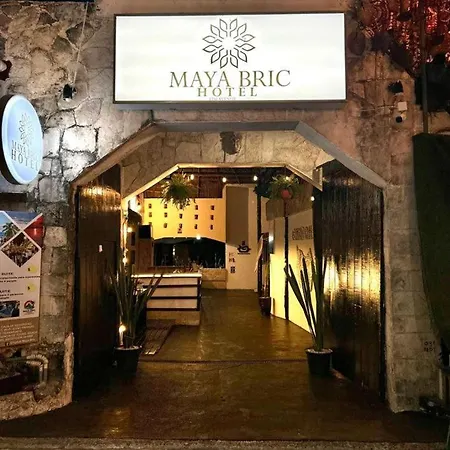 Maya Bric-3