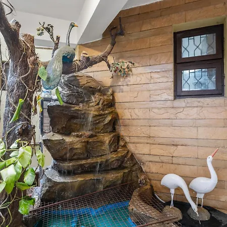 Casa De La Paz - Indiranagar-2