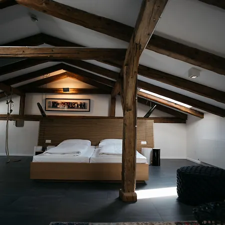 Arthotel Blaue Gans-3