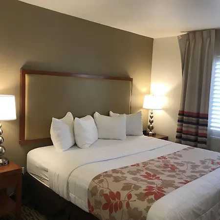 Hawthorn Suites-3