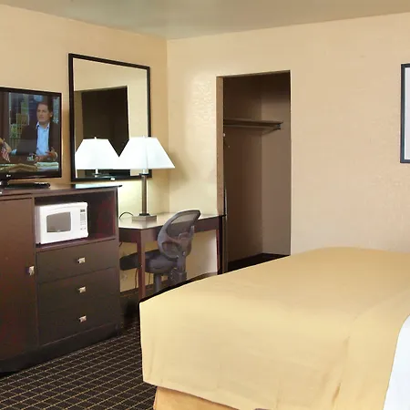 Quality Inn & Suites Big Rapids Near University-3