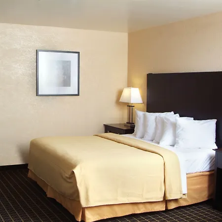 Quality Inn & Suites Big Rapids Near University-2