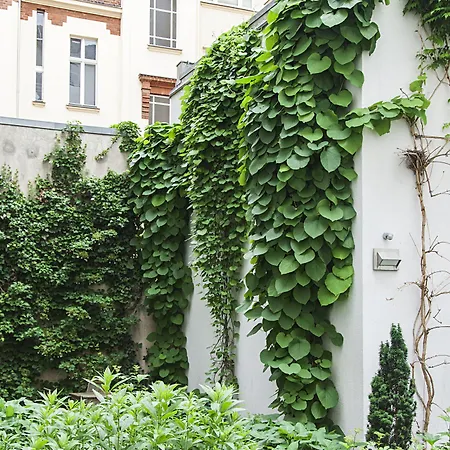 Quentin Design Hotel Berlin-2