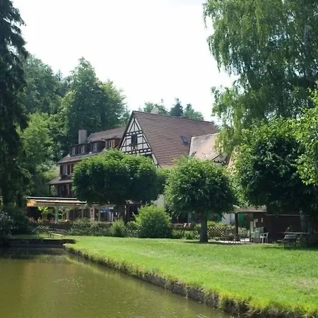 Logis Hôtel-Restaurant Auberge d'Imsthal-3