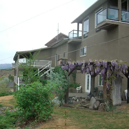 Above The Beach Guest Suites-2