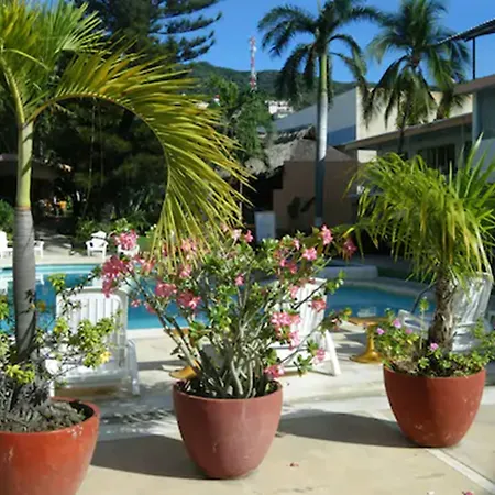 El Tropicano-3