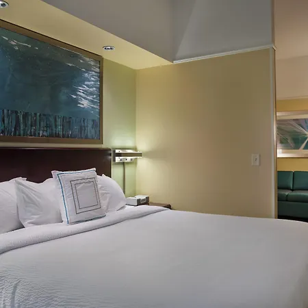 Springhill Suites St Petersburg Clearwater-2