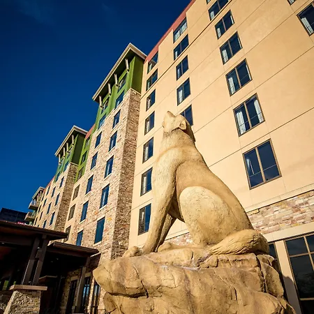 Great Wolf Lodge Bloomington-2