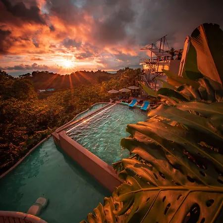 Gaia Hotel & Reserve- Adults Only-2