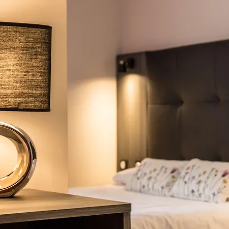 Brit Hotel Confort Foix-3