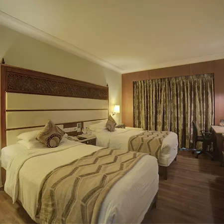 Goldfinch Hotel Bangalore-3