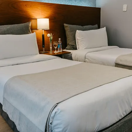 Rochester Hotel Concept-3