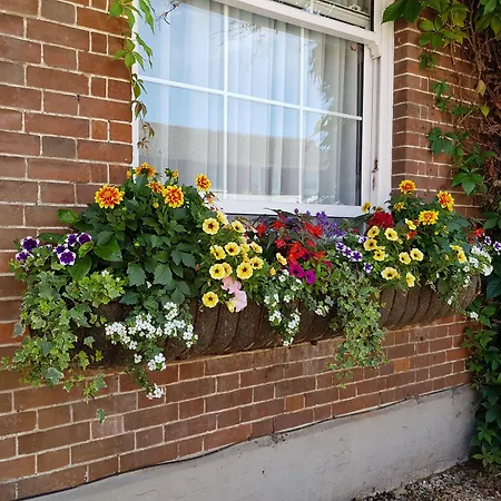 Fairlawn House-3